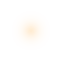 spot